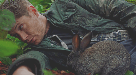 Dean with a rabbit, from ep Regarding Dean